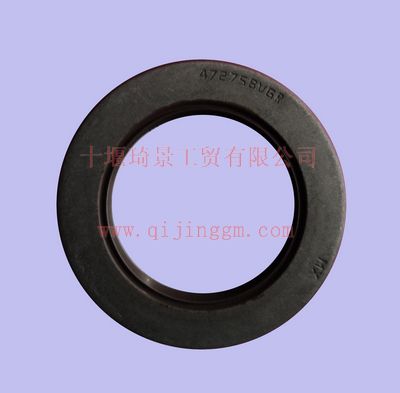 油封3038998_東風(fēng)康明斯/CumminsNT855-C280系列發(fā)動(dòng)機(jī)配件