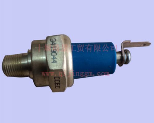 機(jī)油壓力報(bào)警開關(guān)3419044_東風(fēng)康明斯/CumminsKTA19-C525系列發(fā)動(dòng)機(jī)配件