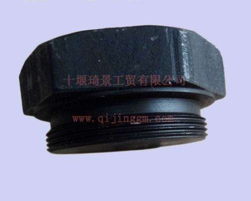放水塞206256_東風(fēng)康明斯/cumminsKTA19-C525系列發(fā)動(dòng)機(jī)配件