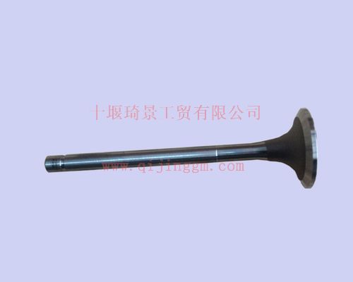進(jìn)氣門207241_東風(fēng)康明斯/cumminsKTA19-C525系列發(fā)動(dòng)機(jī)配件