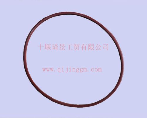 阻水圈3011076_東風(fēng)康明斯/cumminsKTA19-C525系列發(fā)動機配件