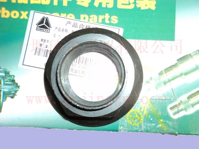 大同齒輪凸緣螺母DC12J150T-167_東風大齒變速箱配件