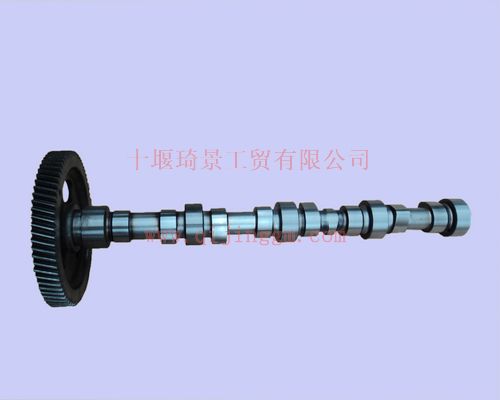 凸輪軸組合件4BT3975389ZZ_發(fā)動機(jī)配件