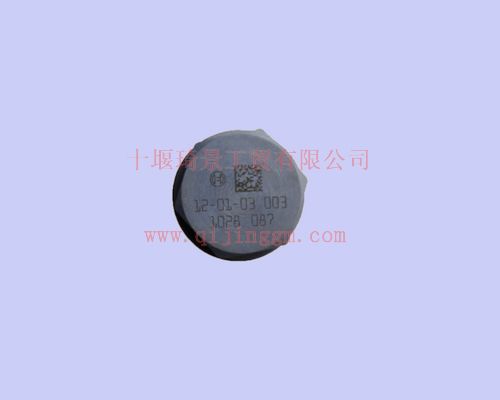雷諾油軌限壓閥 C1110010028 雷諾發(fā)動機配件 東風大力神配件