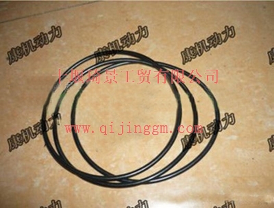康明斯O型圈3940386_東風(fēng)康明斯/cumminsISF發(fā)動機(jī)配件