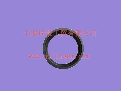 ZF變速箱配件倒檔齒軸承座圈2159304009_其他變速箱配件