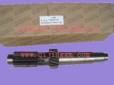 中間軸1700LQ32-048_東風(fēng)變速箱配件