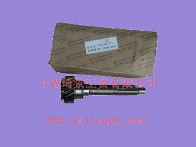 一軸1700LQ32-031_東風(fēng)變速箱配件