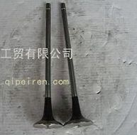 C10BF11-07011,東風(fēng)4H進(jìn)氣閥,東風(fēng)天錦配件,雷諾發(fā)動機(jī)配件