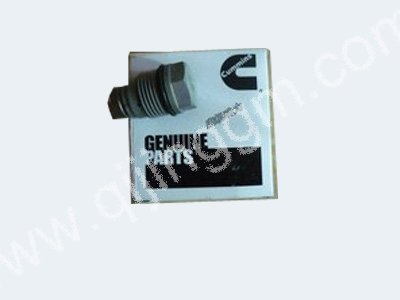 限壓閥,3974093,cummins parts,dongfeng cummins parts