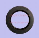 油封3038998_東風(fēng)康明斯/CumminsNT855-C280系列發(fā)動(dòng)機(jī)配件