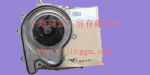 水泵5269764_東風(fēng)康明斯/cumminsISF發(fā)動機(jī)配件