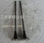 C10BF11-07011,東風(fēng)4H進氣閥,東風(fēng)天錦配件,雷諾發(fā)動機配件
