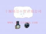 萬里揚(yáng)C62-867通氣塞646-6029_東風(fēng)變速箱配件