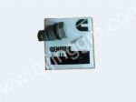 限壓閥,3974093,cummins parts,dongfeng cummins parts